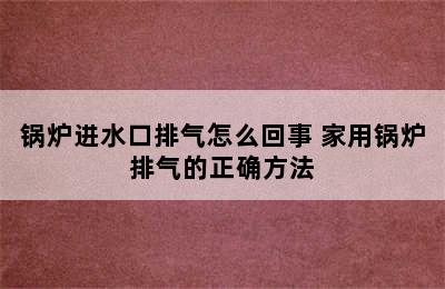 锅炉进水口排气怎么回事 家用锅炉排气的正确方法